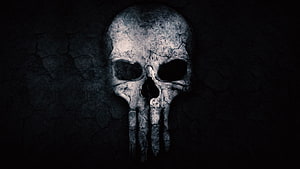 Weathered Skull on Cracked Dark Stone Surface HD wallpaper