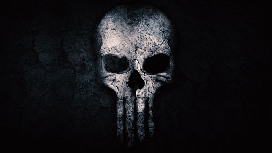 Weathered Skull on Cracked Dark Stone Surface HD wallpaper