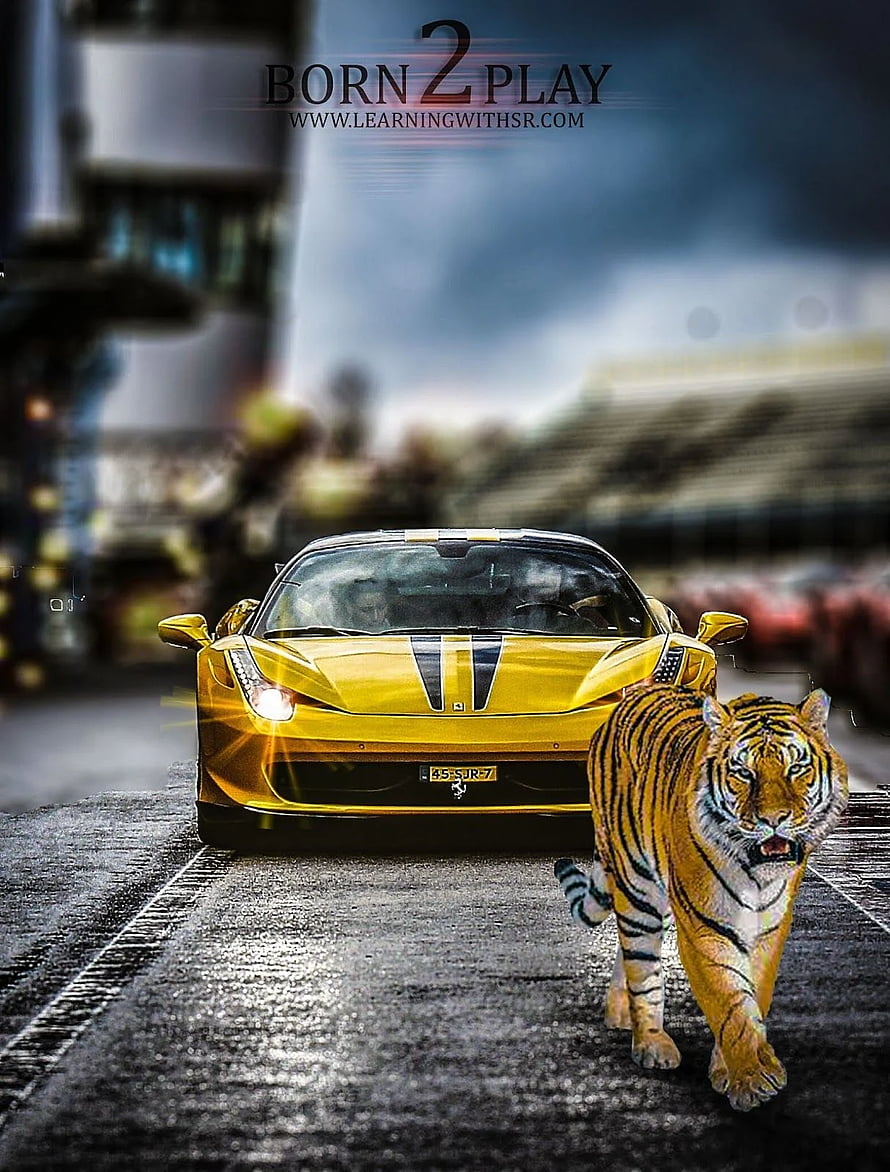 Yellow Lamborghini Huracan and Bengal Tiger on Wet Asphalt HD phone wallpaper