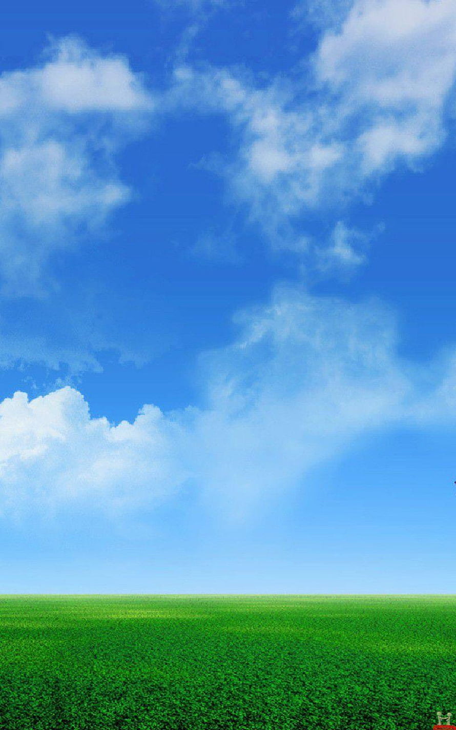 Vast Green Meadow Under a Bright Blue Sky with Fluffy White Clouds HD phone wallpaper