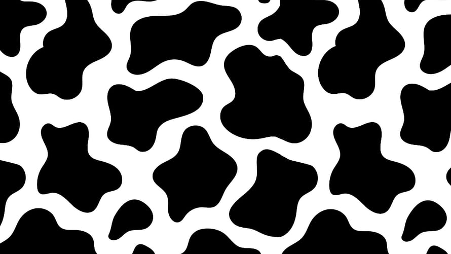 Classic Black and White Cow Print Pattern with Organic Irregular Shapes HD wallpaper