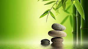 Zen Garden Stacked Stones and Bamboo Branches on a Soft Green Background HD wallpaper