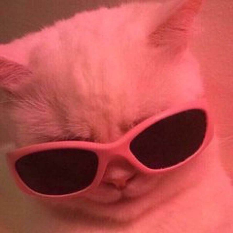 White cat wearing pink sunglasses in a close-up portrait with a soft pink color cast HD phone wallpaper