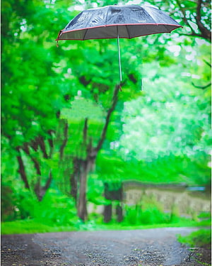 Black umbrella floating above a wet path in a lush green forest during a rainstorm HD phone wallpaper