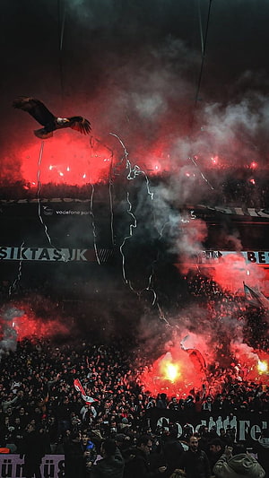 Beşiktaş Stadium Flares and Eagle Mascot in Dramatic Red Smoke HD phone wallpaper