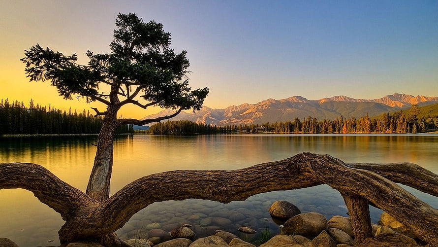 Santabanta Nature Lake at Golden Hour with Mountain Range and Pine Tree HD wallpaper