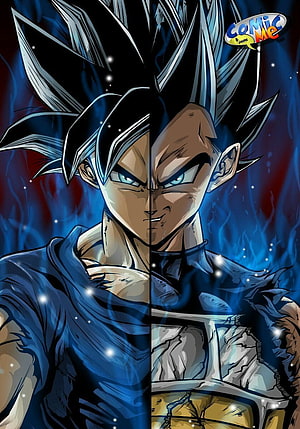 Goku and Vegeta Ultra Instinct Split Portrait in Blue Aura HD phone wallpaper