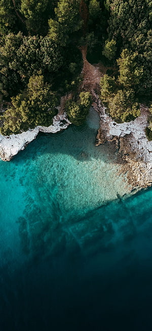 Aerial View of Turquoise Coastal Coves and Lush Mediterranean Forest Canopy HD phone wallpaper