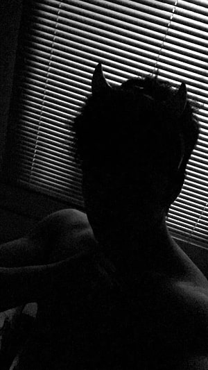 Moody Black and White Silhouette of a Person with Cat Ears Against Window Blinds HD phone wallpaper