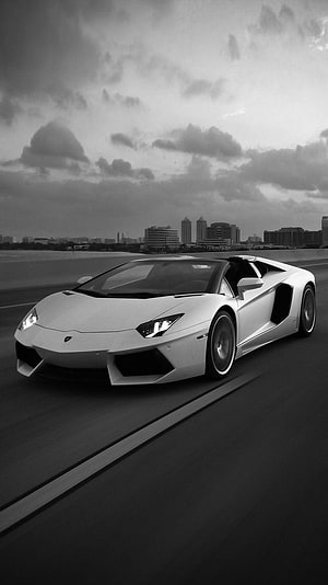 Black and White Lamborghini Aventador Roadster Cruising on a Highway HD phone wallpaper