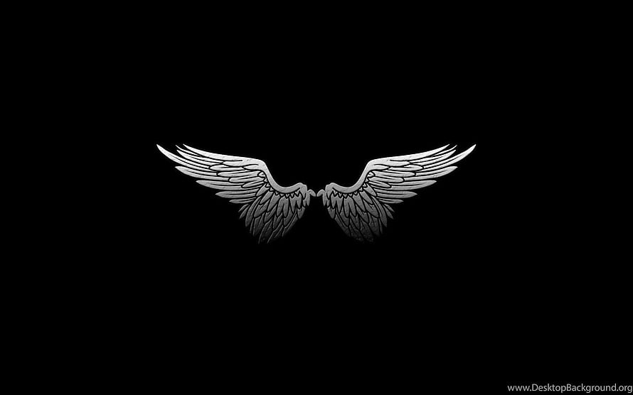 Minimalist Silver Angel Wings Emblem on Deep Black Background HD wallpaper