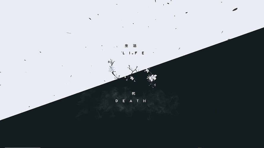 Minimalist Black and White Life and Death Concept with Cherry Blossom Branch HD wallpaper