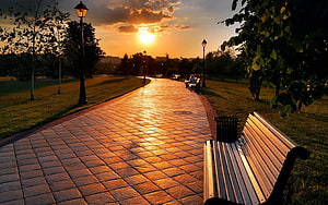 Golden Hour Park Path With Bench And Street Lamps At Sunset HD wallpaper