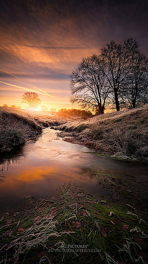 Frosty Stream at Golden Hour with Bare Trees and Dramatic Sky HD phone wallpaper