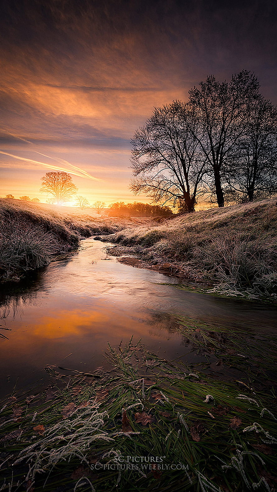 Frosty Stream at Golden Hour with Bare Trees and Dramatic Sky HD phone wallpaper