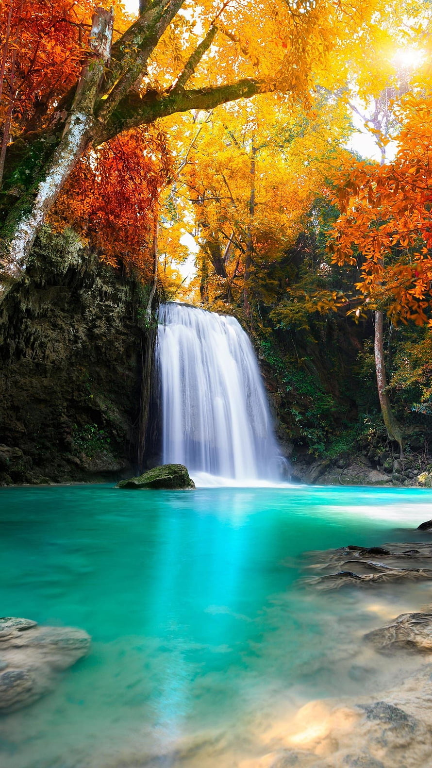 Autumn Waterfall Pouring Into Turquoise Pool Surrounded by Golden Foliage HD phone wallpaper
