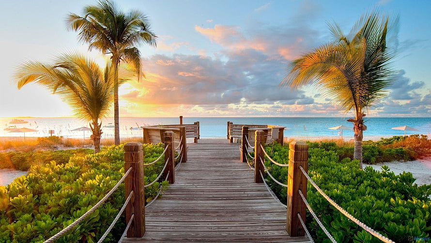 Tropical Beach Boardwalk at Sunset with Palm Trees and Ocean View HD wallpaper