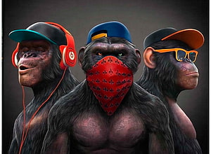 Three Streetwear Chimps Wearing Caps, Headphones, and Bandanas in Digital Art HD wallpaper