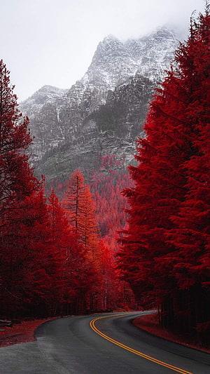 Vibrant Red Forest Road Winding Through Snow-Capped Mountain Valley HD phone wallpaper