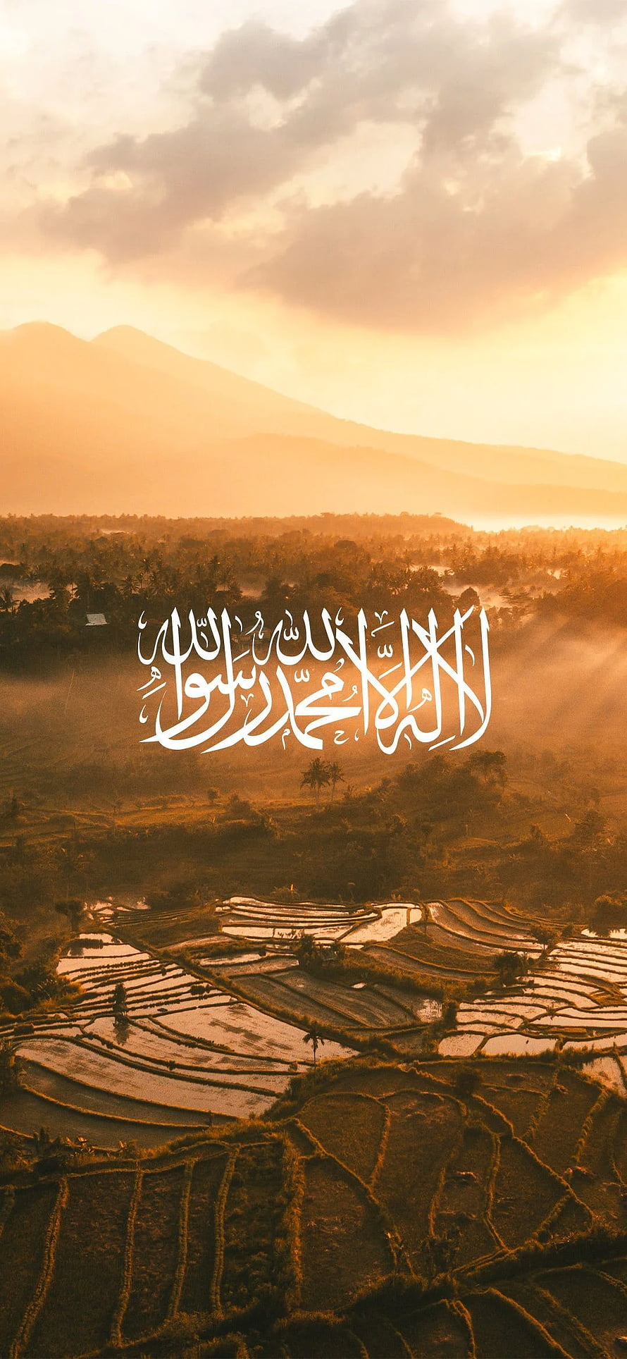 Islamic Calligraphy Over Golden Rice Terraces at Sunrise HD phone wallpaper