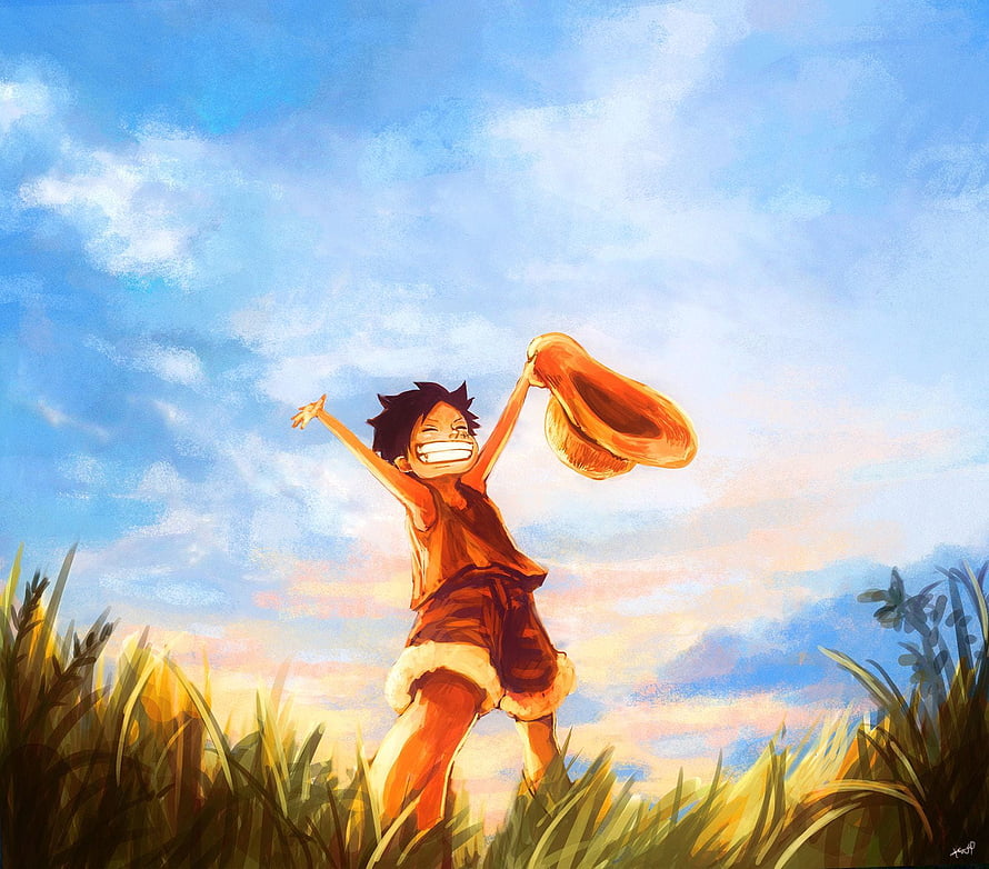 Young Luffy from One Piece Celebrating in a Golden Grass Field Under a Blue Sky HD wallpaper