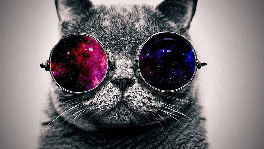 Gray Cat Wearing Round Galaxy Lenses with Cosmic Nebula Reflections HD wallpaper