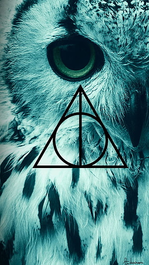 Harry Potter Deathly Hallows Symbol Over Close-Up Owl Eye in Teal Tones HD phone wallpaper