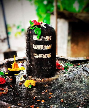 Sacred Shivling with Trishul Markings and Fresh Marigold Offerings HD phone wallpaper