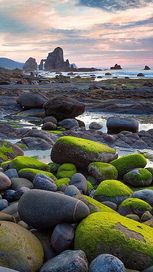 Moss-Covered Boulders on a Rocky Shoreline at Sunset with Distant Sea Stacks HD phone wallpaper