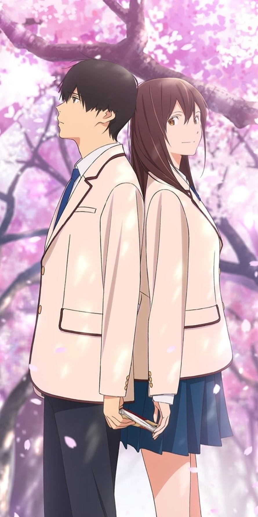 I Want To Eat Your Pancreas Anime Couple Under Cherry Blossoms HD phone wallpaper