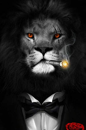 Gentleman Lion in Tuxedo Smoking Cigar with Red Rose and Orange Eyes HD phone wallpaper