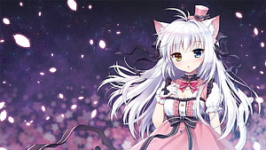 Anime girl with white hair and cat ears in a pink dress against a starry night sky HD wallpaper