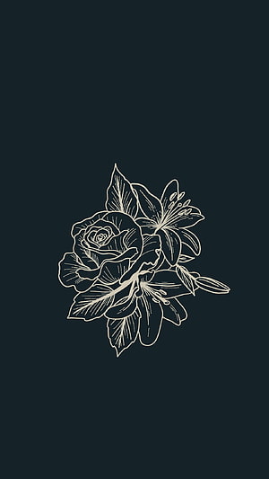 Minimalist Floral Line Art with Rose and Lily on Dark Background HD phone wallpaper
