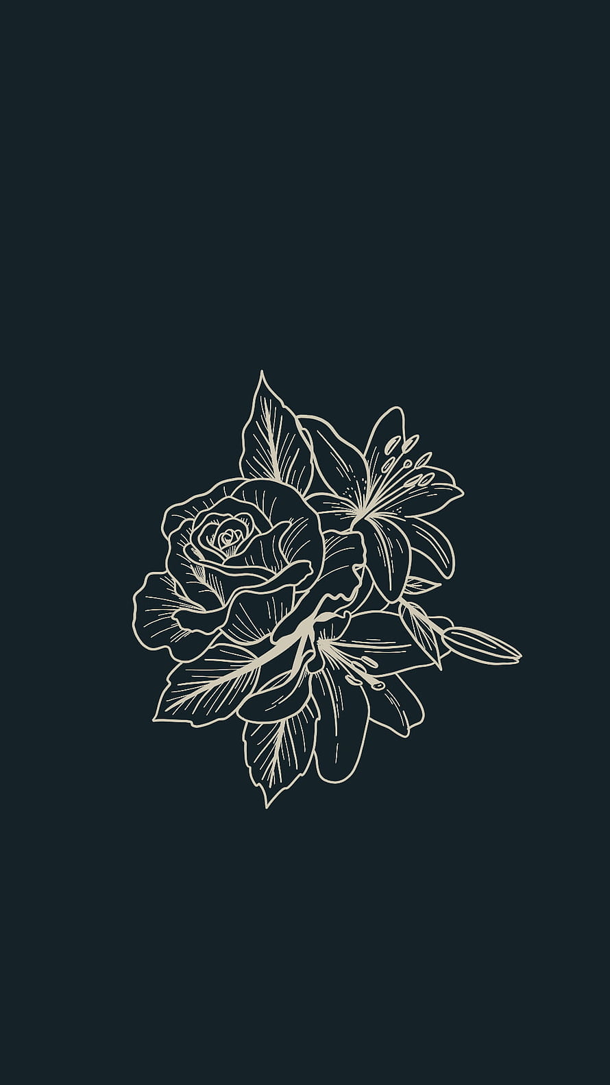 Minimalist Floral Line Art with Rose and Lily on Dark Background HD phone wallpaper