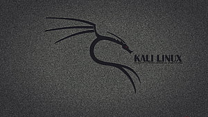 Kali Linux Minimalist Dragon Logo on Dark Textured Background HD wallpaper