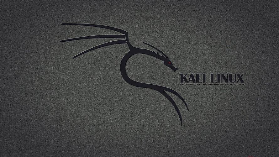 Kali Linux Minimalist Dragon Logo on Dark Textured Background HD wallpaper
