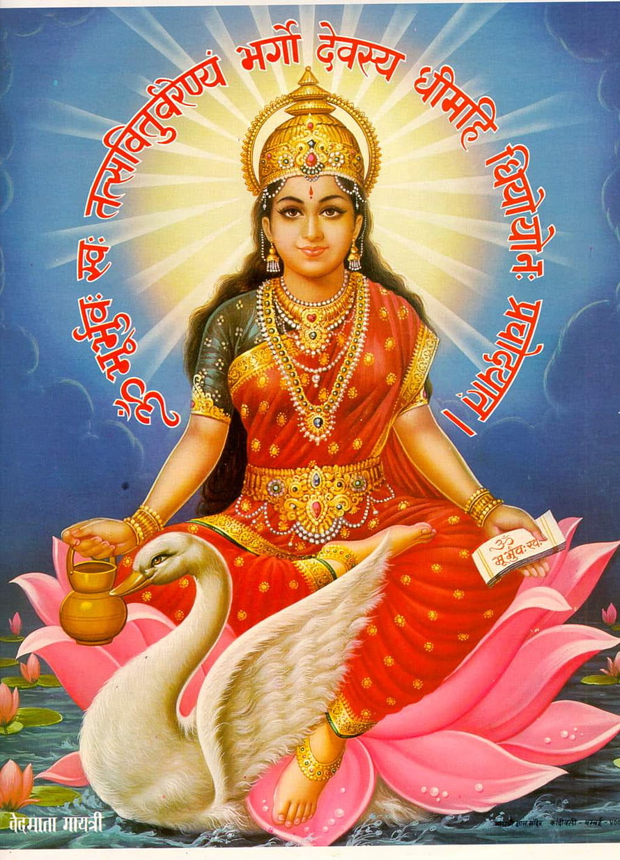 Maa Gayatri Seated on Lotus with Swan and Sacred Text in Traditional Indian Art HD phone wallpaper