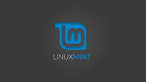 Linux Mint Official Logo on Dark Gray Minimalist Background HD wallpaper