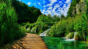 Wooden boardwalk winding through lush green forest with cascading waterfalls and turquoise river HD wallpaper