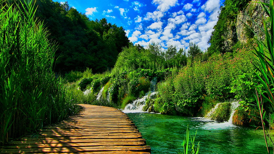 Wooden boardwalk winding through lush green forest with cascading waterfalls and turquoise river HD wallpaper