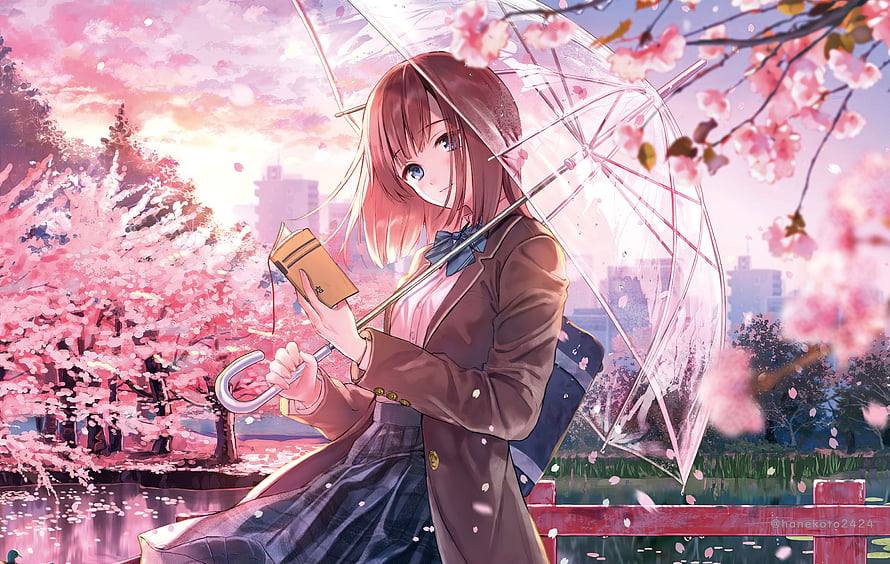 Anime Girl Reading Under a Clear Umbrella Amidst Pink Cherry Blossoms HD wallpaper