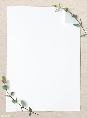Minimalist Blank Paper with Green Leafy Branches on Textured Beige Background HD phone wallpaper