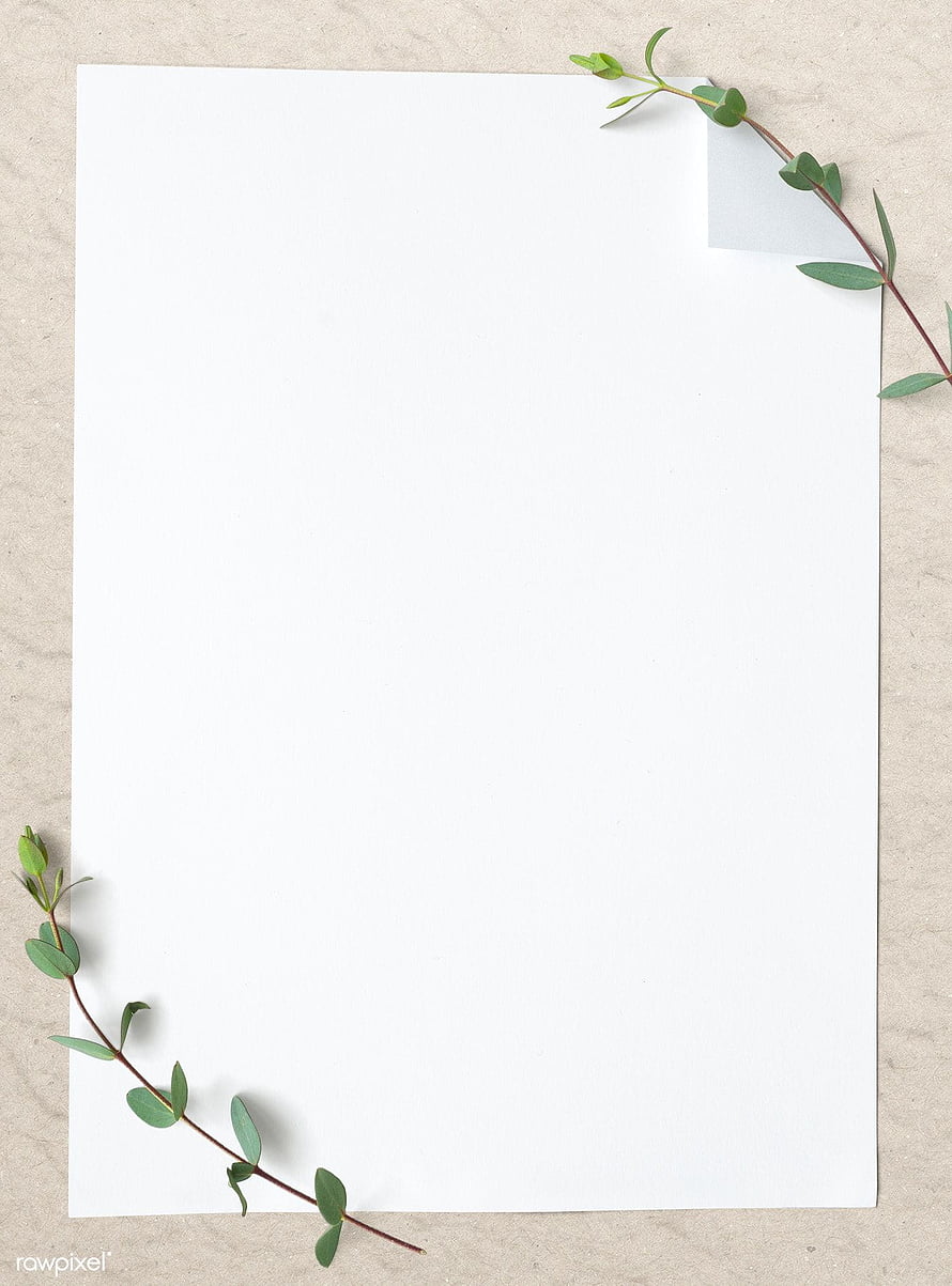 Minimalist Blank Paper with Green Leafy Branches on Textured Beige Background HD phone wallpaper