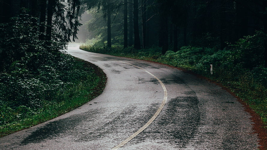 Winding Forest Road in Misty Rain with Lush Greenery and Wet Asphalt HD wallpaper