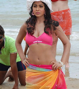 Shriya Saran in a pink bikini top and colorful wrap skirt on a sandy beach HD phone wallpaper