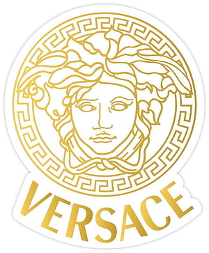 Gold Versace Medusa Head Logo with Greek Key Border on White Background HD phone wallpaper