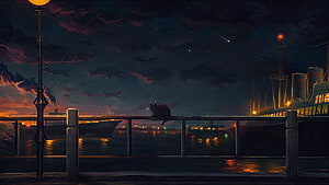 Moody Night Harbor Scene With Cat On Pier And Distant Ships HD wallpaper