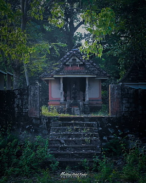 Ancient Kerala Temple Shrine Surrounded by Lush Tropical Forest and Mossy Stone Steps HD phone wallpaper