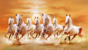 Seven White Horses Galloping Together in a Golden Sunset Landscape HD wallpaper