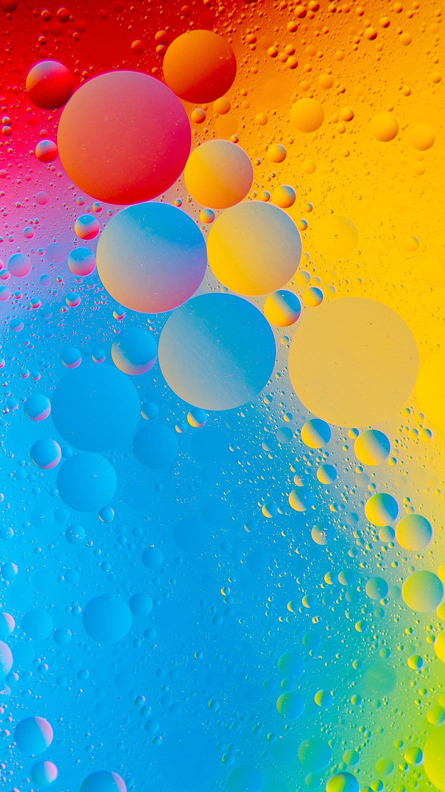Vibrant Macro Photography of Colorful Oil Bubbles on a Gradient Background HD phone wallpaper